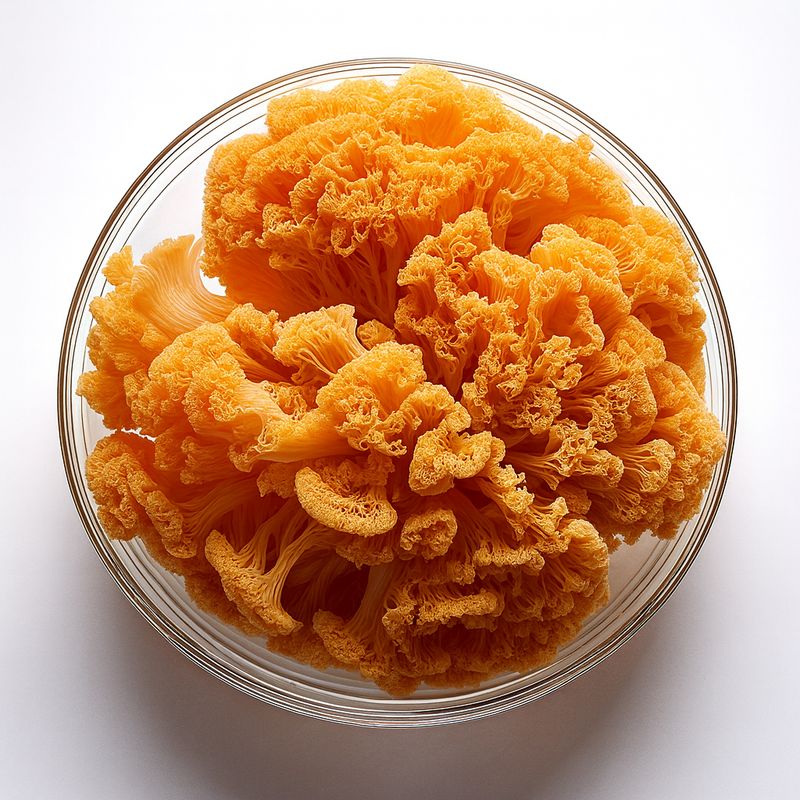Tremella Mushroom Extract